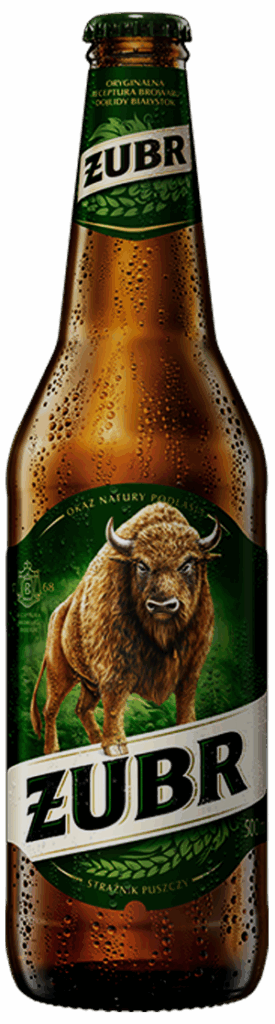 Żubr