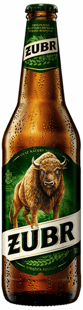 Żubr