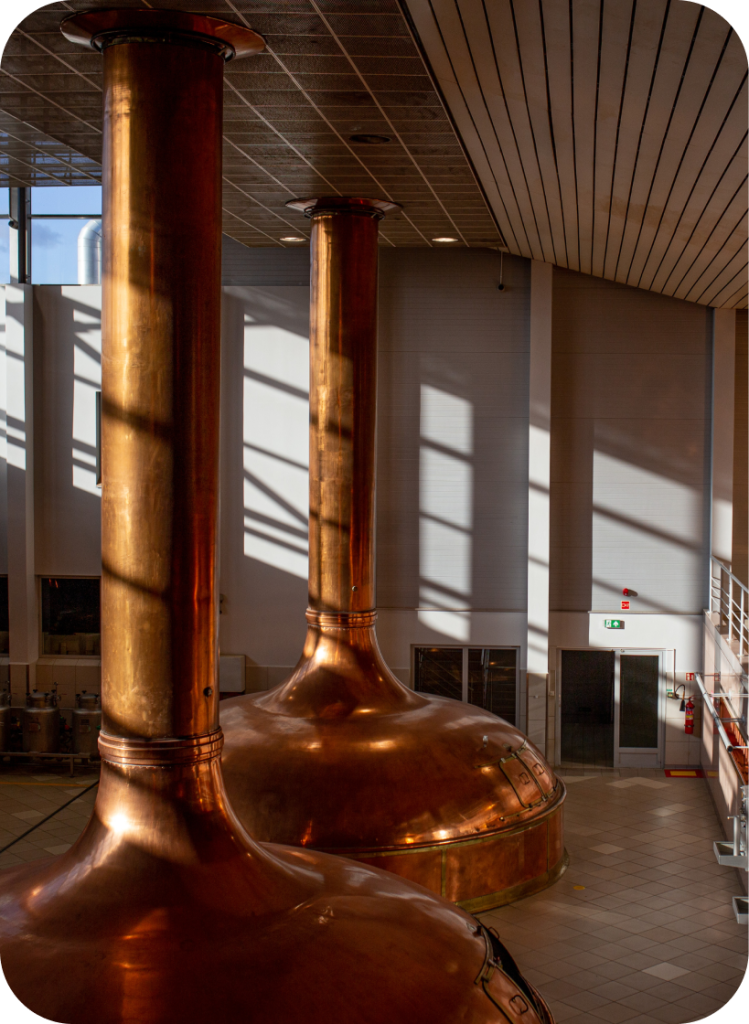 Lech Browary Wielkopolski