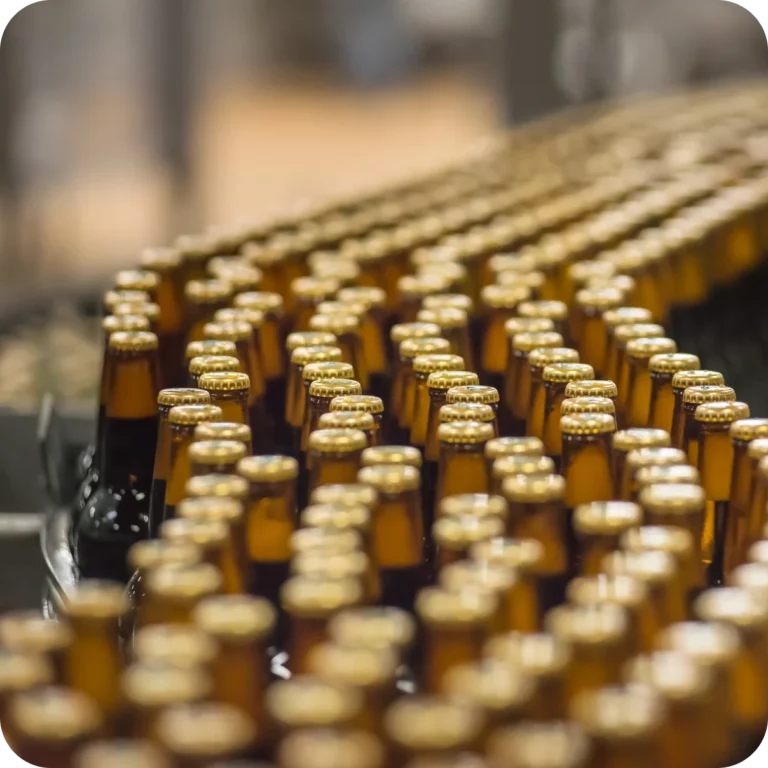 Production line with bottles.
